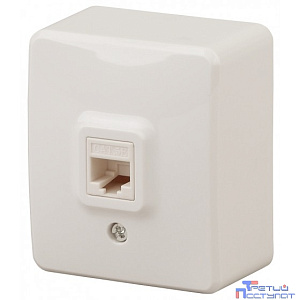 Эра Б0020731 11-3203-02 Розетка информационная RJ45, ОУ, Эра Эксперт, сл.кость