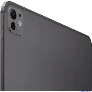 Apple iPad Pro 13" (M4) Wi-Fi + Cellular 256Gb with Standard glass Space Black (MVXR3HN/A)