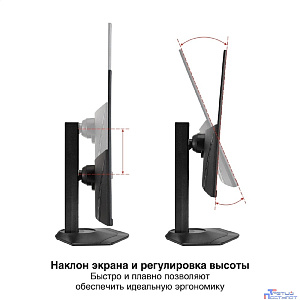 LCD ExeGate 27" EH2700TA SuperView {IPS 1920x1080 100hz 3-5ms 16:9 250cd 1300:1 178/178 D-Sub HDMI DisplayPort Speakers HAS Pivot VESA} [EX299036RUS]