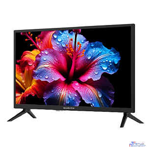 Topdevice 24'' TDTV24BN02H_BK {HD/VA/noSmart/Black}