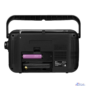 RITMIX RPR-303