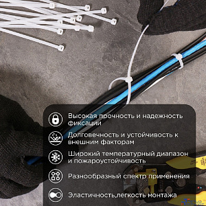 Rexant (67-0250) Стяжка нейлоновая Профессиональная 250x3,6мм, белая (100 шт/уп)