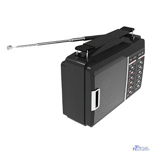 RITMIX RPR-190