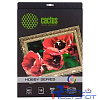 CACTUS CS-CA426010 Холст для струйной печати, A4, 300г/м2, 10 листов