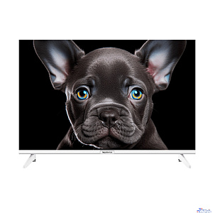 Topdevice 24" TDTV24CS08H_WE/HD/VA/Smart SalyutTV/1-8Gb/BT/белый