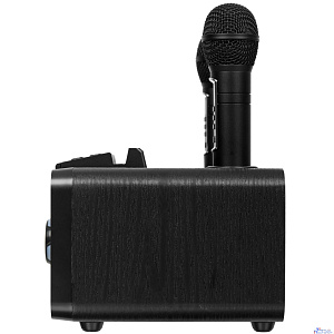 RITMIX SP-660B black { Мощность: 15 вт * 2  Частоты: 100 Гц - 20 000 Гц Чувствительно 84+-2 ДБ}