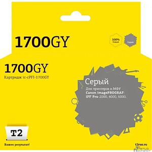 IC-CPFI-1700GY Картридж T2 для Canon imagePROGRAF iPF-PRO-2000/4000/6000 (700мл.), серый, с чипом