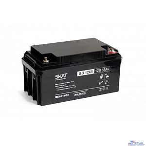 АКБ БАСТИОН SKAT SB 1265 AGM 12V 65Ач I зар.19,5А клеммы под болт М6, гарантия 18 мес (2541)
