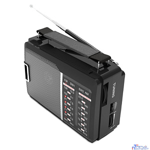 RITMIX RPR-190