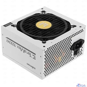 Zalman <TMX2> ZM1000-TMX2 W <1000W, ATX v3.0 GEN 5.0, EPS, APFC, 12cm Fan, FCM, 80+ GOLD, Retail>