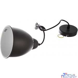 Camelion PL-430S-1 С02 чёрный (Светильник подвесной LOFT, 1х E27, 60Вт, 230В, металл)