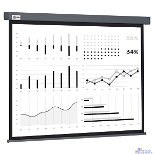Экран Cactus Wallscreen CS-PSW-180X180-SG,  180х180 см, 1:1,  настенно-потолочный серый