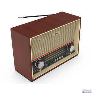 RITMIX RPR-102 WOOD {ФМ радиоприёмник 4-диапазонный (FM/AM/SW1/SW2), с разъемом для наушников, вход AUX, воспроизв. с micro SD карт памяти или USB флэш носителей,д/у}