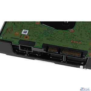 22Tb WD Ultrastar DC HC570 0F48155 7200 6Gb/s 512Mb WUH722222ALE6L4 SATA3 (48291)