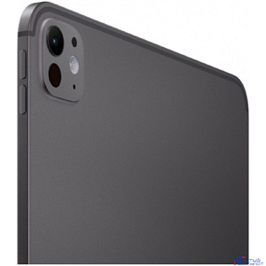 Apple iPad Pro 11-inch 256 Gb WiFi + Cellular Space Black  MVW13HN/A (M4)