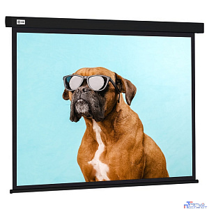 Экран Cactus Wallscreen CS-PSW-183X244-BK 183 x 244см 4:3 настенно-потолочный рулонный черный