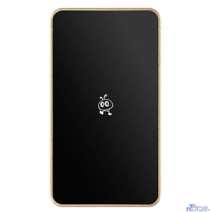 Smartbuy Portable SSD 2TB P5 Pro USB 3.2 champagne (SBD2T0P5CU3C)