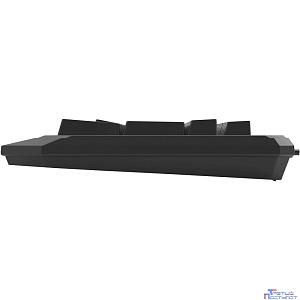 Acer OKW300 [ZL.KBDCC.019]  USB черный Клавиатура проводная