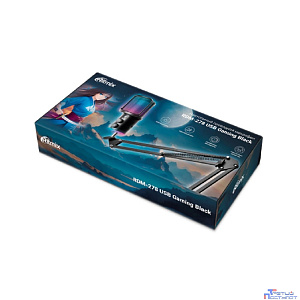 RITMIX RDM-278 USB Gaming Black {Подключение  Type-C - USB A / Type-C, Jack 3,5 мм на наушники; размеры микрофона: 5 * 15* 5 см}