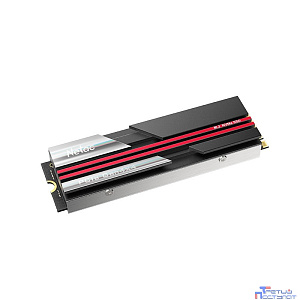Накопитель SSD Netac M.2 2280 NV7000 NVMe PCIe 2Tb NT01NV7000-2T0-E4X (heat sink)