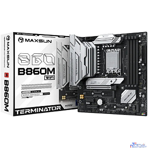 MAXSUN MS-Terminator B860M WIFI DEMO