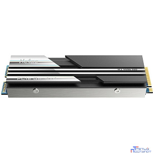 Накопитель SSD Netac PCI-E 4.0 x4 1Tb NT01NV5000-1T0-E4X NV5000 M.2 2280