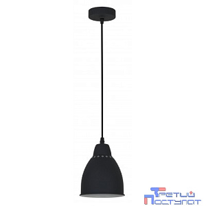 Camelion PL-430S-1  С02  чёрный (Светильник подвесной LOFT,  1х E27, 60Вт, 230В, металл)