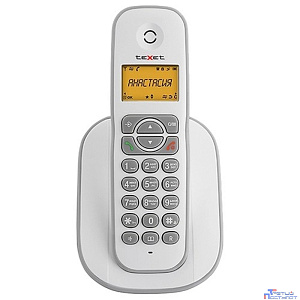 TEXET TX-D4505A белый-серый