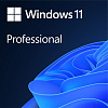 HAV-00164 Soft Microsoft Win Pro FPP 11 64-bit Eng Intl non-EU/EFTA USB (HAV-00164)