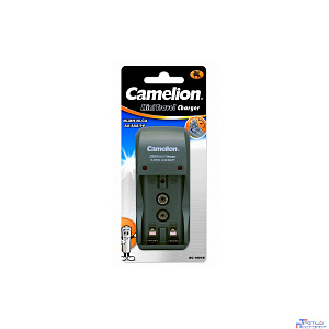 Camelion BC 1001A titanium(BC1001, ЗУ для  2 х AA, AAA или 1x9V, 200мА,  складная вилка, таймер )