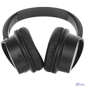 Panasonic RB-HF520BGEK (Мониторные Bluetooth наушники (Черный)