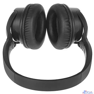 Panasonic RB-HF520BGEK (Мониторные Bluetooth наушники (Черный)