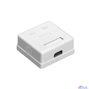Exegate EX292845RUS Розетка внешняя двойная ExeGate SM2-RJ45-C6 RJ-45 кат.6 UTP Krone/110
