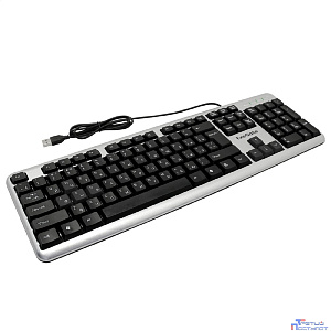 Exegate EX264086RUS Клавиатура Exegate LY-401, <USB, серебристый корпус, 104кл, Enter большой> Color box