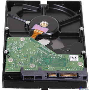 1TB WD Purple (WD10PURZ) {Serial ATA III, 5400- rpm, 64Mb, 3.5"}