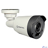 Видеокамера Tantos TSc-Pe2HDf уличная цилиндрическая 4в1