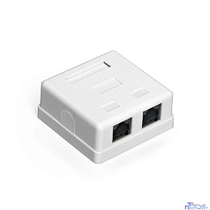Exegate EX292845RUS Розетка внешняя двойная ExeGate SM2-RJ45-C6 RJ-45 кат.6 UTP Krone/110