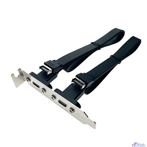 Espada Планка в корпус USB C 3.2 Gen2x2 2 порта, EbrLow22, 20Gbps низкопрофильная (46002)