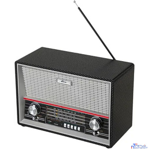 RITMIX RPR-102 CARBON {ФМ радиоприёмник 4-диапазонный (FM/AM/SW1/SW2), с разъемом для наушников, вход AUX, воспр с micro SD карт пам. или USB флэш носителей, д/у}