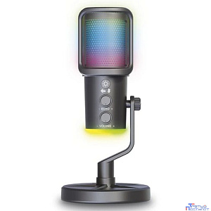RITMIX RDM-178 USB Gaming Black {подк Type-C - USB A / Type-C, Jack 3,5 мм на наушники, подсветка, шумоподавление; размеры микрофона: 5 * 15* 5 см}
