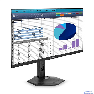 LCD ExeGate 23.8" EZ2400C ProSmart {IPS 1920x1080 75Hz 3-5ms 16:9 250cd 1000:1 D-Sub, HDMI DisplayPort USB Speakers audio-out Pivot} [EX299032RUS]