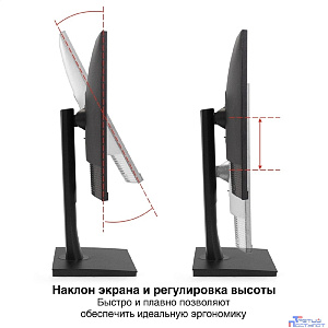 LCD ExeGate 23.8" EV2407TA {IPS 1920x1080 75Hz 5ms 250cd D-Sub HDMI DisplayPort USB Speakers WebCam} [EX297247RUS]