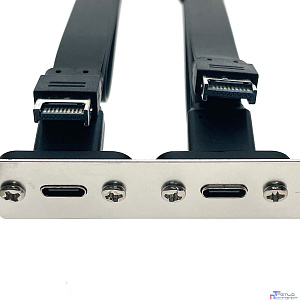 Espada Планка в корпус USB C 3.2 Gen2x2 2 порта, EbrLow22, 20Gbps низкопрофильная (46002)