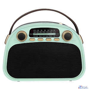 RITMIX RPR-040 MINT