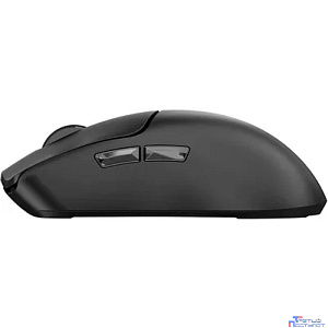 Acer OMR312 [ZL.MCECC.035] черная оптическая 3200dpi cordless BT/Radio USB