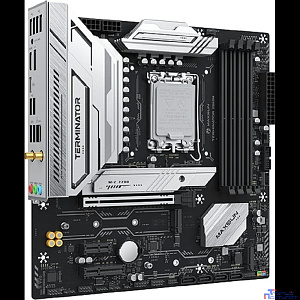 MAXSUN MS-Terminator B860M WIFI DEMO