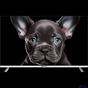 Topdevice 43" TDTV43CS08U_WE/UHD/VA/Smart SalyutTV/1.5-8Gb/BT/белый