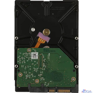 2TB WD Gold  (WD2005FBYZ) {SATA III 6 Gb/s, 7200 rpm, 128Mb buffer}