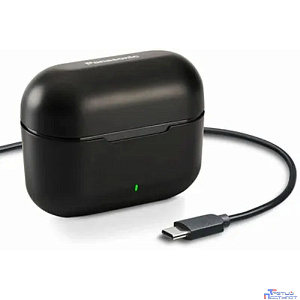 Наушники Вкладыши Panasonic RZ-B110WDG-K