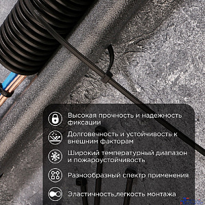 Rexant (67-0303) Стяжка нейлоновая Профессиональная 300x7,6мм, черная (100 шт/уп)